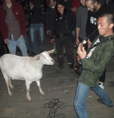 Wormrot-band